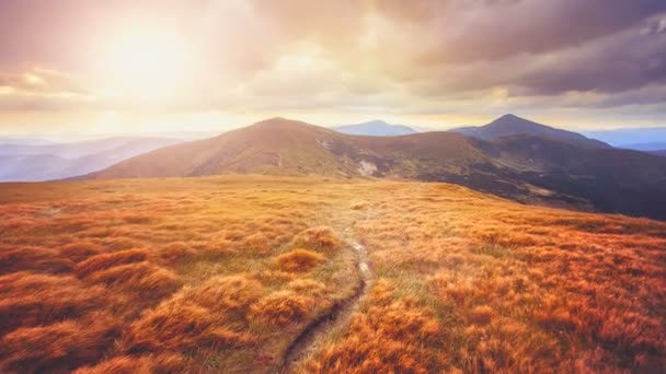 Mountain path in the Carpathian mountains — Stock Video