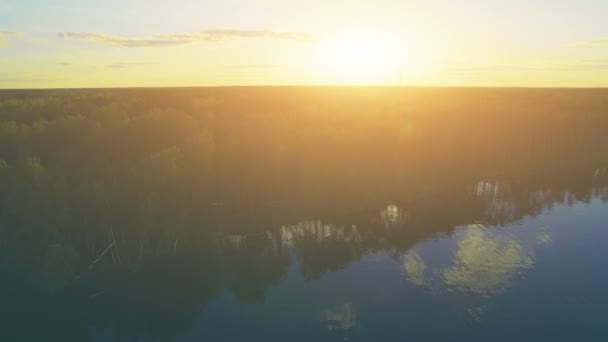 Flug über ruhigem Wasser und Wald — Stockvideo