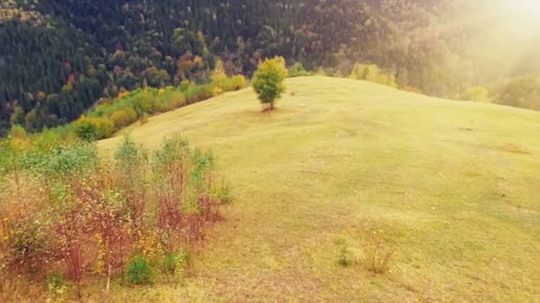 Luchtfoto vlucht in de Karpaten — Stockvideo