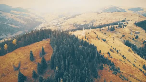 카 르 파 티아 산맥에서 공중 비행 — 비디오