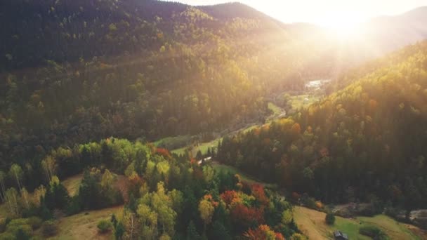 Vuelo aéreo en montañas Cárpatas — Vídeos de Stock