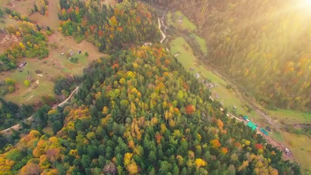 Vuelo aéreo en montañas Cárpatas — Vídeos de Stock