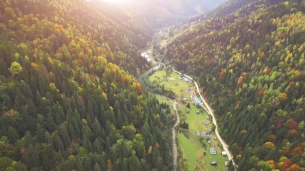 เที่ยวบินทางอากาศในภูเขา Carpathian — วีดีโอสต็อก