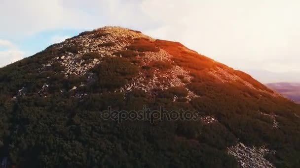 Aerial Flight in Carpathian mountains — Stock Video