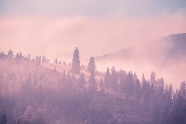 多雾的秋天风景 — 图库照片