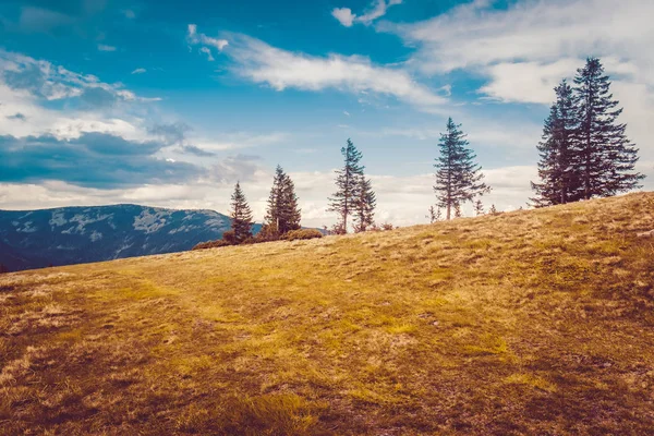 Горный пейзаж с лесом и голубым небом — стоковое фото
