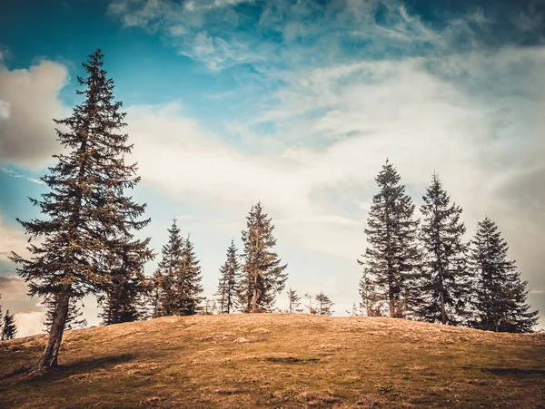 Paysage de montagne avec forêt et ciel bleu — Photo