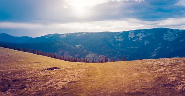 Paysage de montagne avec forêt et ciel bleu — Photo