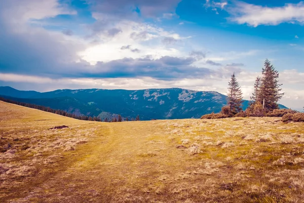 Dağ manzarası ile orman ve mavi gökyüzü — Stok fotoğraf
