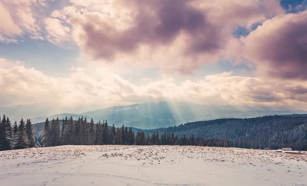 Удивительный зимний пейзаж — стоковое фото