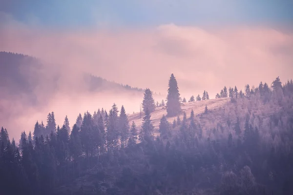 多雾的秋天风景 — 图库照片