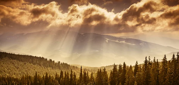 Fantastisk kväll vinterlandskap — Stockfoto