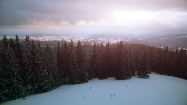 4k Drohnenaufnahme: Urlaub im Skigebiet Bukovel — Stockvideo