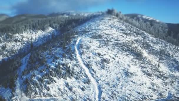 4k Drohnenaufnahme: Urlaub im Skigebiet Bukovel — Stockvideo