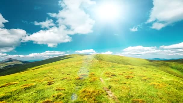 Beautiful green meadow mountain path — Stock Footage Beautiful green meadow mountain path Royalty Free Stock Video