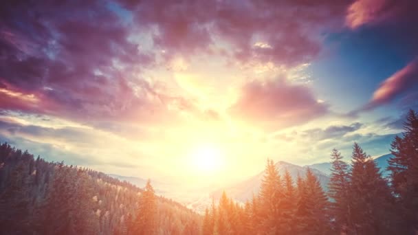 Coucher de soleil spectaculaire dans la forêt de montagne — Video