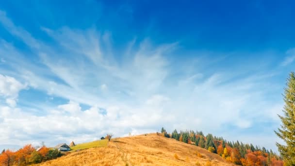 Farm house on autumn meadow, forest around — Stock Video