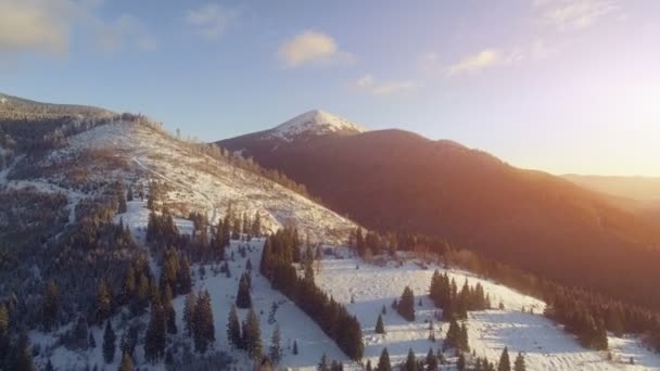 Vista aérea 4K Drone: Vacaciones en la estación de esquí Bukovel — Vídeos de Stock
