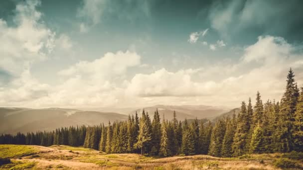 Hermoso otoño retro postal paisaje — Vídeo de stock