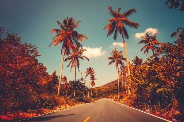 Colorido paisaje al atardecer con palmera en la selva — Foto de Stock