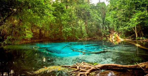Голубой бассейн Сра Моракот в провинции Краби, Таиланд — стоковое фото
