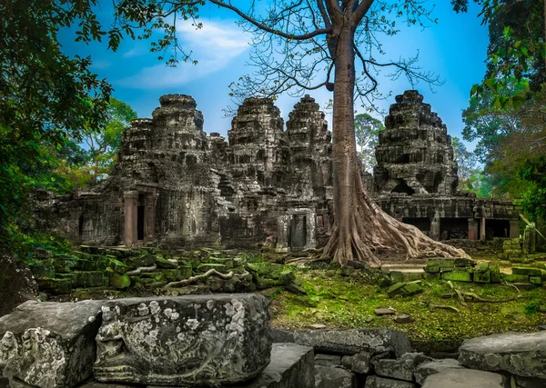Angkor Wat Temple - Cambodia. Ancient architecture — Stock Photo, Image