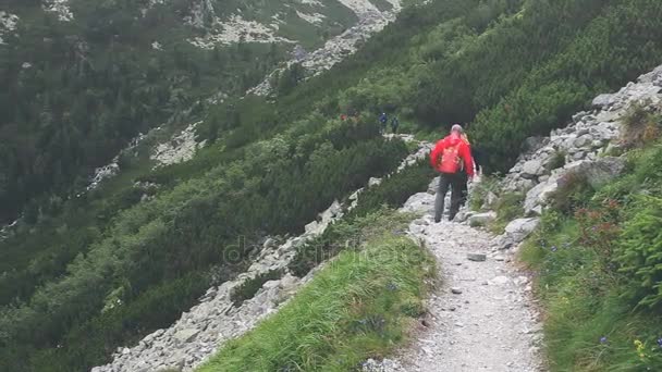 Grupo de turistas trekking en las montañas de Tatra — Vídeo de stock