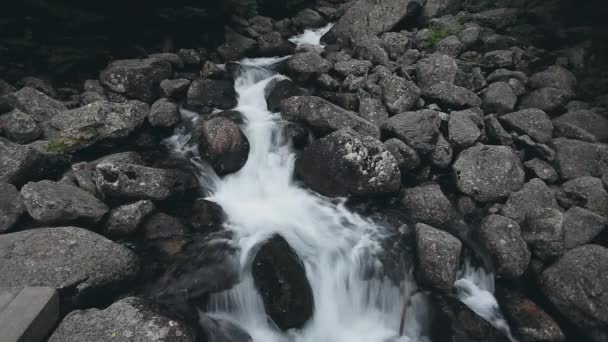 山区河流之间那块大石头。自然景观 — 图库视频影像