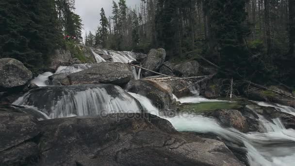 Berg rivier met trapsgewijze waterval in bos — Stockvideo