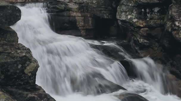 Горная река с каскадным водопадом в лесу — стоковое видео