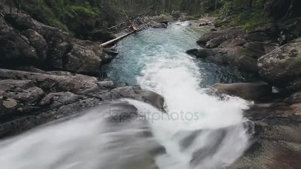Río de montaña con cascada en el bosque — Vídeos de Stock