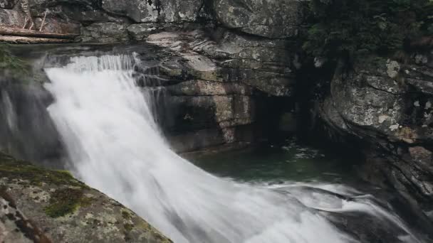Mountain river med cascade vattenfall i skogen — Stockvideo