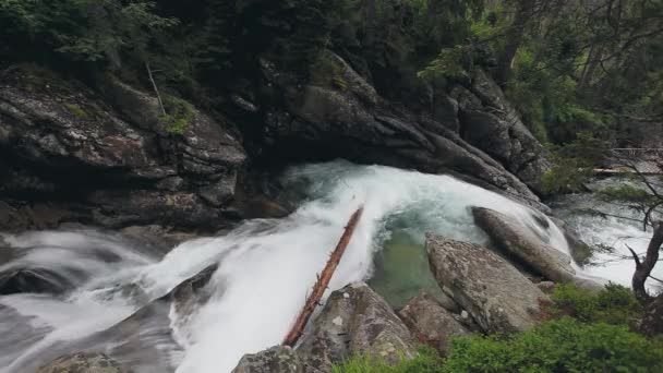 Berg rivier met trapsgewijze waterval in bos — Stockvideo