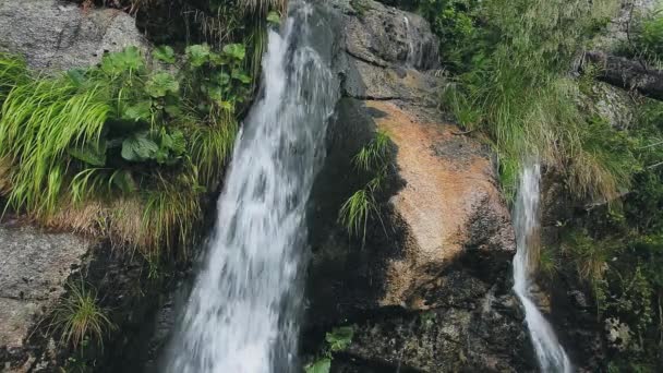 Потужний гірський каскадний водоспад у лісі — стокове відео