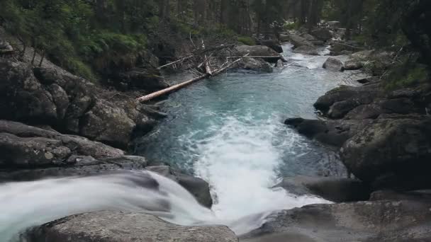Rio da montanha com cascata cachoeira na floresta — Vídeo de Stock