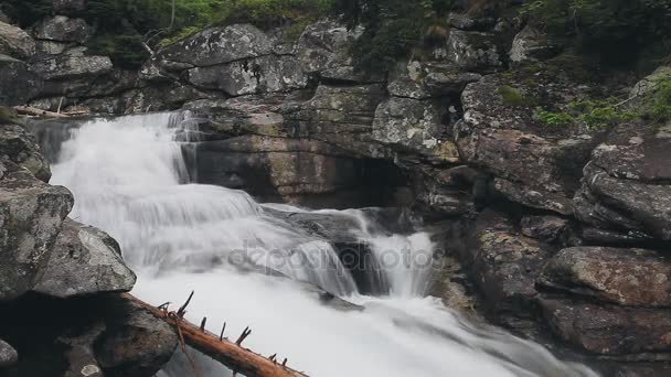 Río de montaña con cascada en el bosque — Vídeo de stock