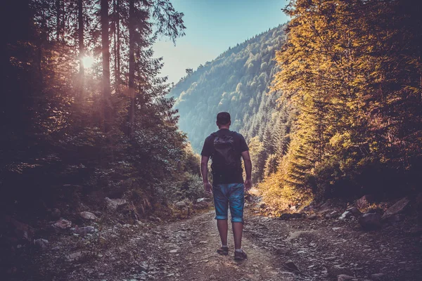 Jeune homme dans la forêt du coucher du soleil. Mode de vie de voyage — Photo