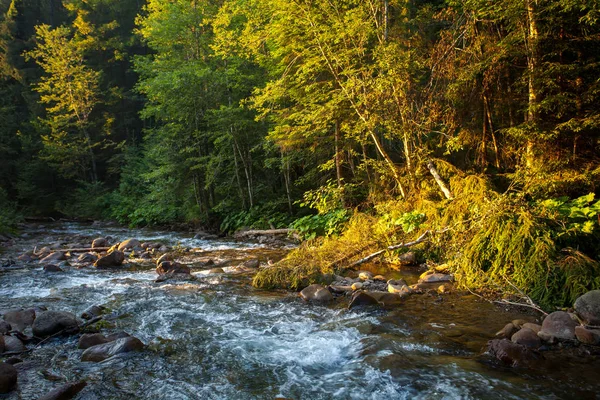 Prachtige bergrivier in herfstbos — Stockfoto