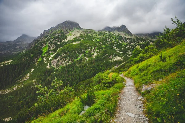 Sentiero montano in Alto Tatra. Paesaggio naturale — Foto Stock