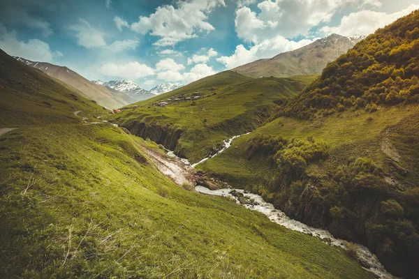 Paesaggio estivo con picco di neve di fiume e montagna — Foto Stock