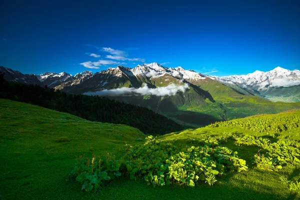 山のパノラマの夏の風景。グルジア — ストック写真