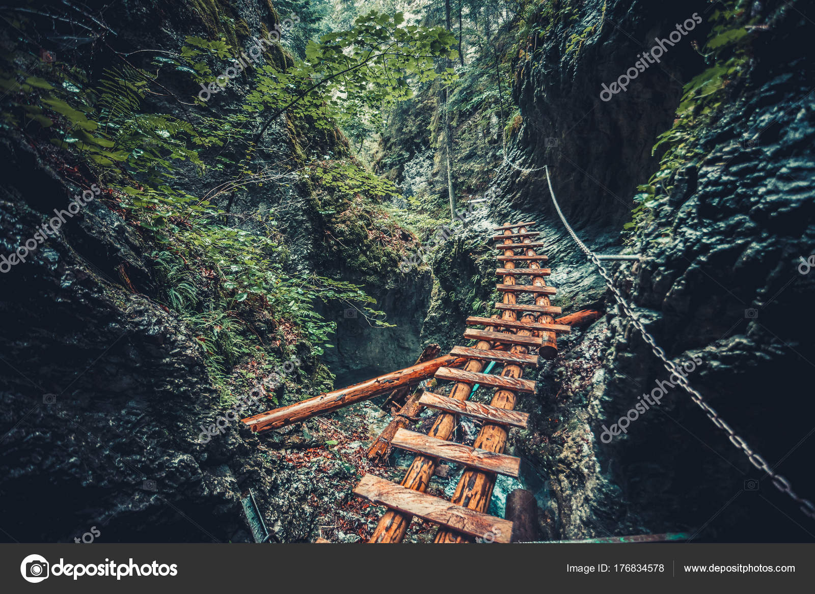 Abandoned Old Wooden Bridge In Jungle Forest Stock Photo Goinyk Abandoned Old Wooden Bridge In Jungle Forest