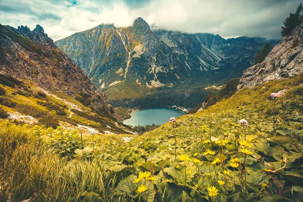 The lake surrounded by the Tatras. Slovakia. — Stock Photo, Image