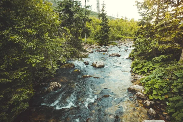 Valley manzara. Akan nehir. Tatras. — Stok fotoğraf