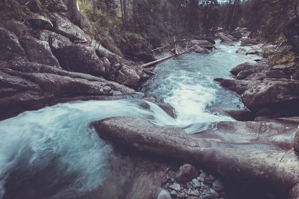 Pequeña cascada que fluye hacia el bosque, Tatras . —  Fotos de Stock