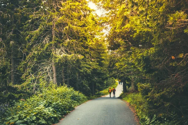 Senderismo gente caminando en hermoso bosque de otoño — Foto de Stock