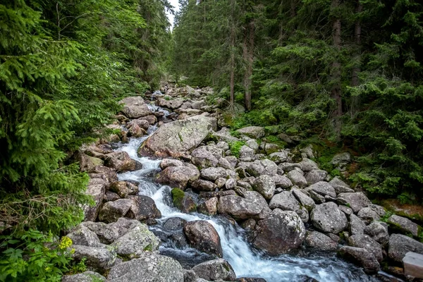 孤溪之间的巨石。Tatras. — 图库照片