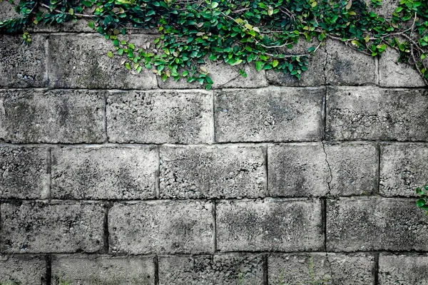 Grey stone wall made of bricks. Background. — Stock Photo, Image