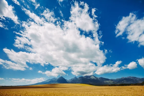 澄んだ青い空に白い明るい雲。タトラ山脈. — ストック写真