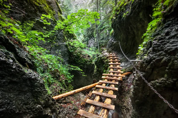 峡谷上的桥Tatras。斯洛伐克. — 图库照片